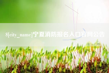 巴音郭楞蒙古宁夏消防报名入口官网公告