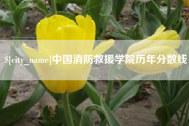 巴音郭楞蒙古中国消防救援学院历年分数线