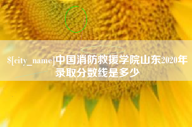 巴音郭楞蒙古中国消防救援学院山东2020年录取分数线是多少