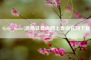 巴音郭楞蒙古消防证查询网上查询官网下载