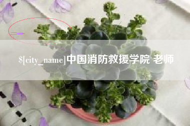 巴音郭楞蒙古中国消防救援学院 老师