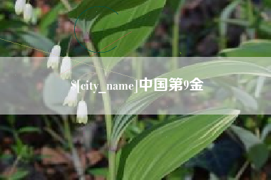 巴音郭楞蒙古中国第9金