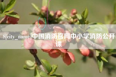 巴音郭楞蒙古中国消防官网中小学消防公开课
