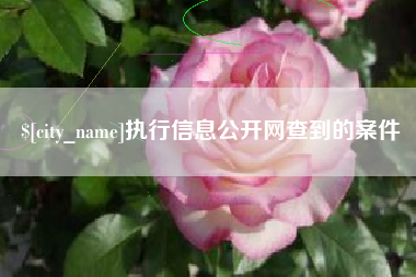 巴音郭楞蒙古执行信息公开网查到的案件