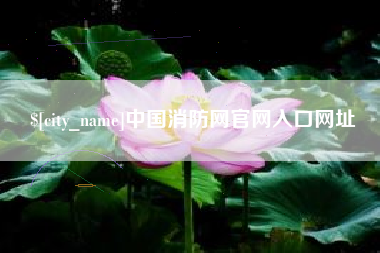 巴音郭楞蒙古中国消防网官网入口网址