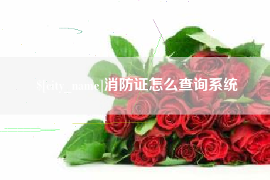 巴音郭楞蒙古消防证怎么查询系统