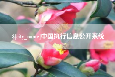 巴音郭楞蒙古中国执行信息公开系统