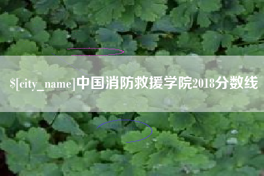 巴音郭楞蒙古中国消防救援学院2018分数线