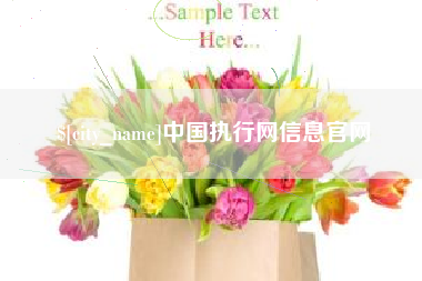 巴音郭楞蒙古中国执行网信息官网