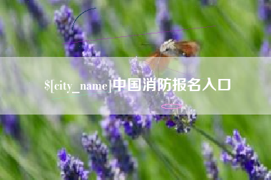 巴音郭楞蒙古中国消防报名入口