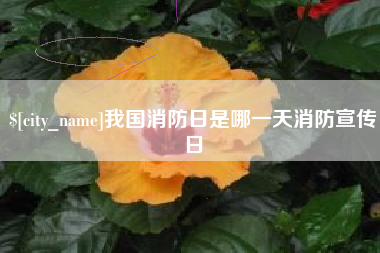 巴音郭楞蒙古我国消防日是哪一天消防宣传日