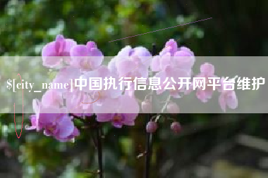 巴音郭楞蒙古中国执行信息公开网平台维护