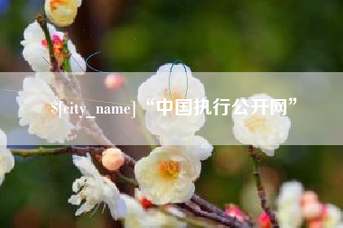 巴音郭楞蒙古“中国执行公开网”