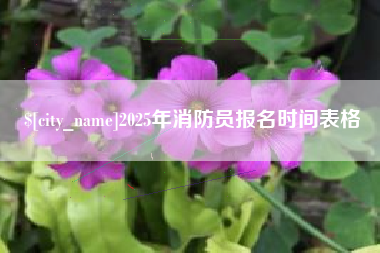巴音郭楞蒙古2025年消防员报名时间表格