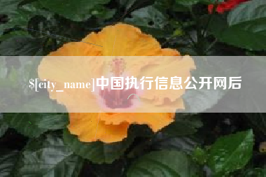 巴音郭楞蒙古中国执行信息公开网后