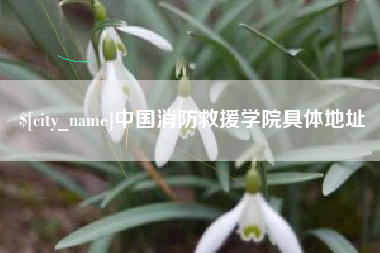 巴音郭楞蒙古中国消防救援学院具体地址