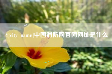 巴音郭楞蒙古中国消防网官网网址是什么