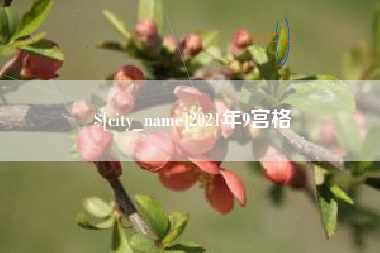 巴音郭楞蒙古2021年9宫格