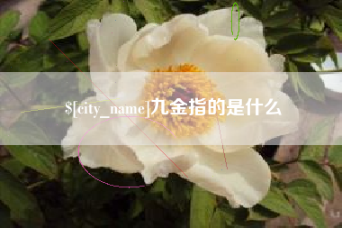巴音郭楞蒙古九金指的是什么