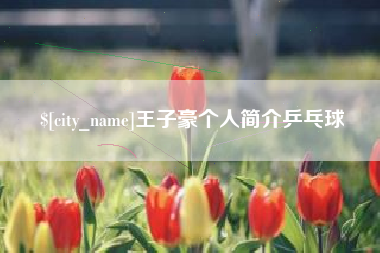 巴音郭楞蒙古王子豪个人简介乒乓球
