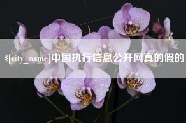 巴音郭楞蒙古中国执行信息公开网真的假的
