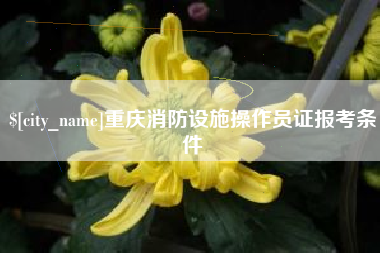 巴音郭楞蒙古重庆消防设施操作员证报考条件