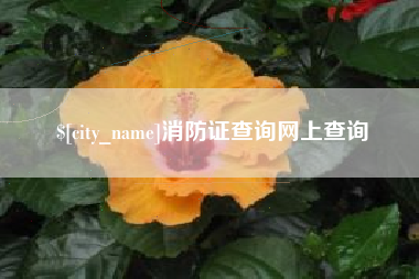 巴音郭楞蒙古消防证查询网上查询