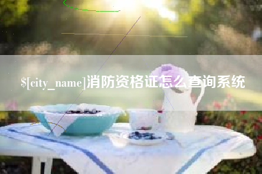 巴音郭楞蒙古消防资格证怎么查询系统