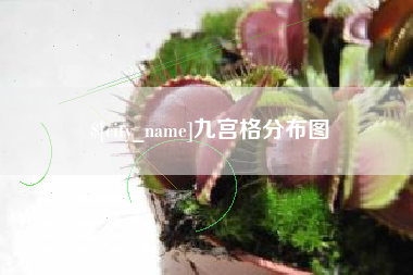 巴音郭楞蒙古九宫格分布图