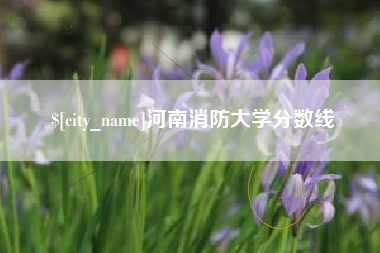 巴音郭楞蒙古河南消防大学分数线