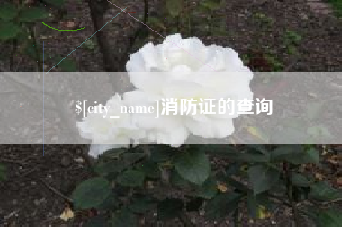 巴音郭楞蒙古消防证的查询