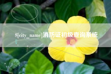 巴音郭楞蒙古消防证初级查询系统