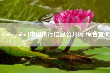 巴音郭楞蒙古中国执行信息公开网 综合查询