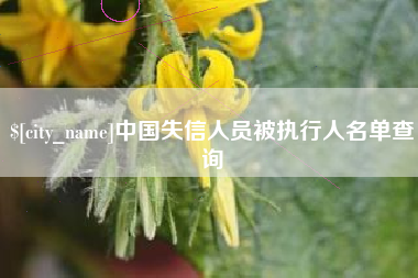 巴音郭楞蒙古中国失信人员被执行人名单查询