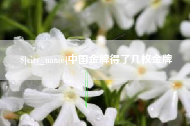 巴音郭楞蒙古中国金牌得了几枚金牌