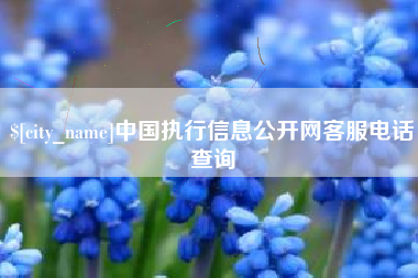 巴音郭楞蒙古中国执行信息公开网客服电话查询