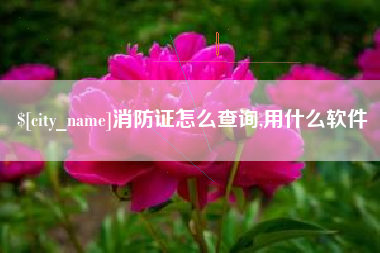 巴音郭楞蒙古消防证怎么查询,用什么软件