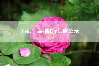 巴音郭楞蒙古执行信息公示
