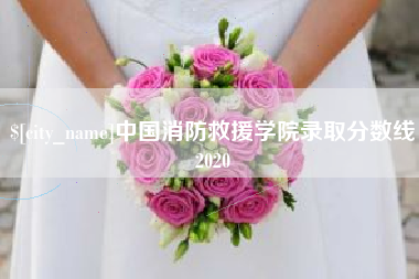 巴音郭楞蒙古中国消防救援学院录取分数线2020