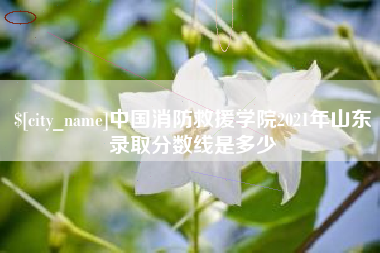 巴音郭楞蒙古中国消防救援学院2021年山东录取分数线是多少