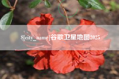 巴音郭楞蒙古谷歌卫星地图2025