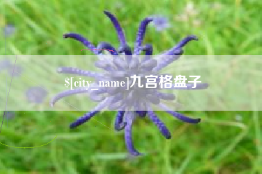 巴音郭楞蒙古九宫格盘子