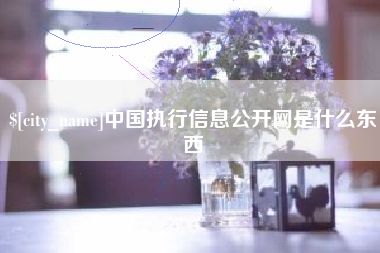 巴音郭楞蒙古中国执行信息公开网是什么东西