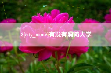 巴音郭楞蒙古有没有消防大学