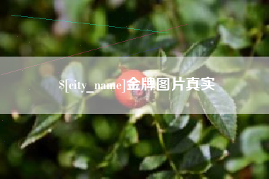 巴音郭楞蒙古金牌图片真实