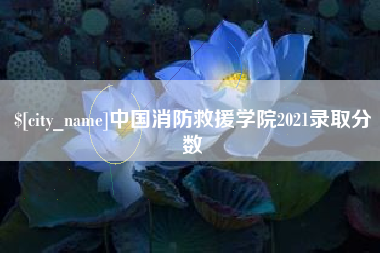 巴音郭楞蒙古中国消防救援学院2021录取分数