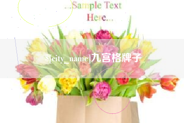 巴音郭楞蒙古九宫格牌子