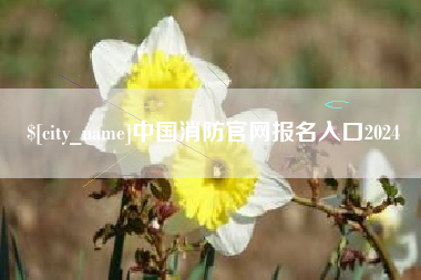 巴音郭楞蒙古中国消防官网报名入口2024