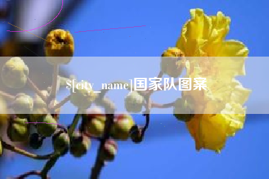 巴音郭楞蒙古国家队图案
