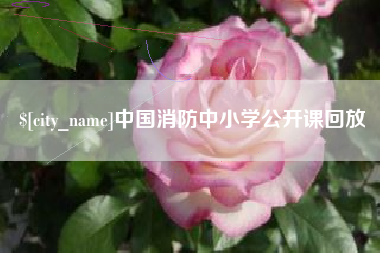巴音郭楞蒙古中国消防中小学公开课回放